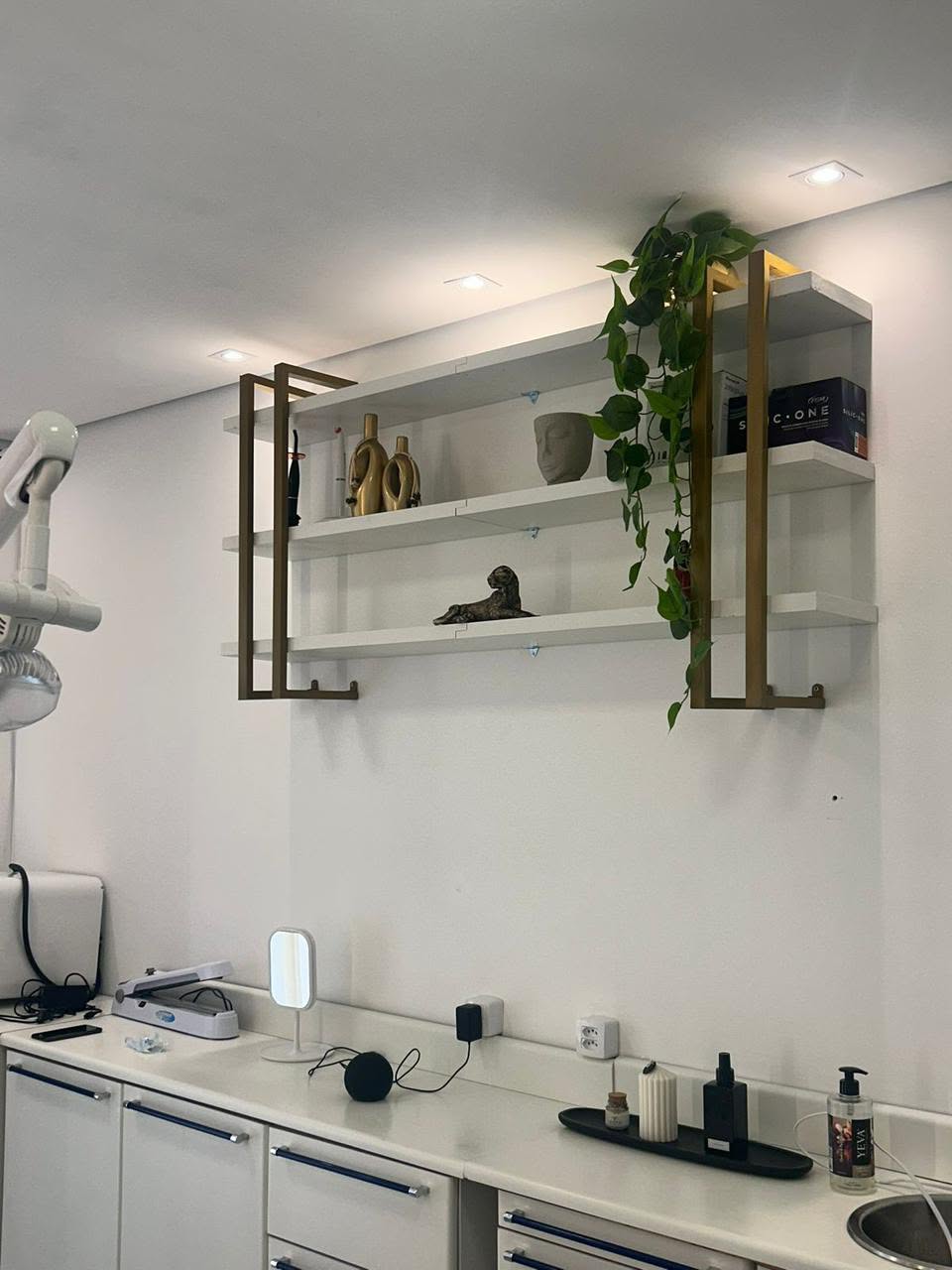 Bancada clara e prateleira com plantas e objetos decorativos.